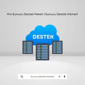 Pro Sunucu Destek Paketi